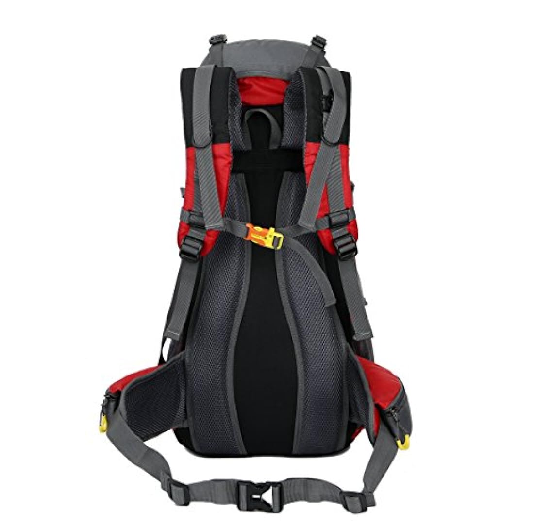 Mochila de senderismo (50 L, con cubierta de lluvia de 45L