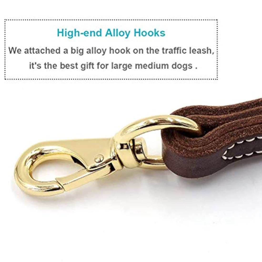 Correa corta de piel para perro 12 pulgadas