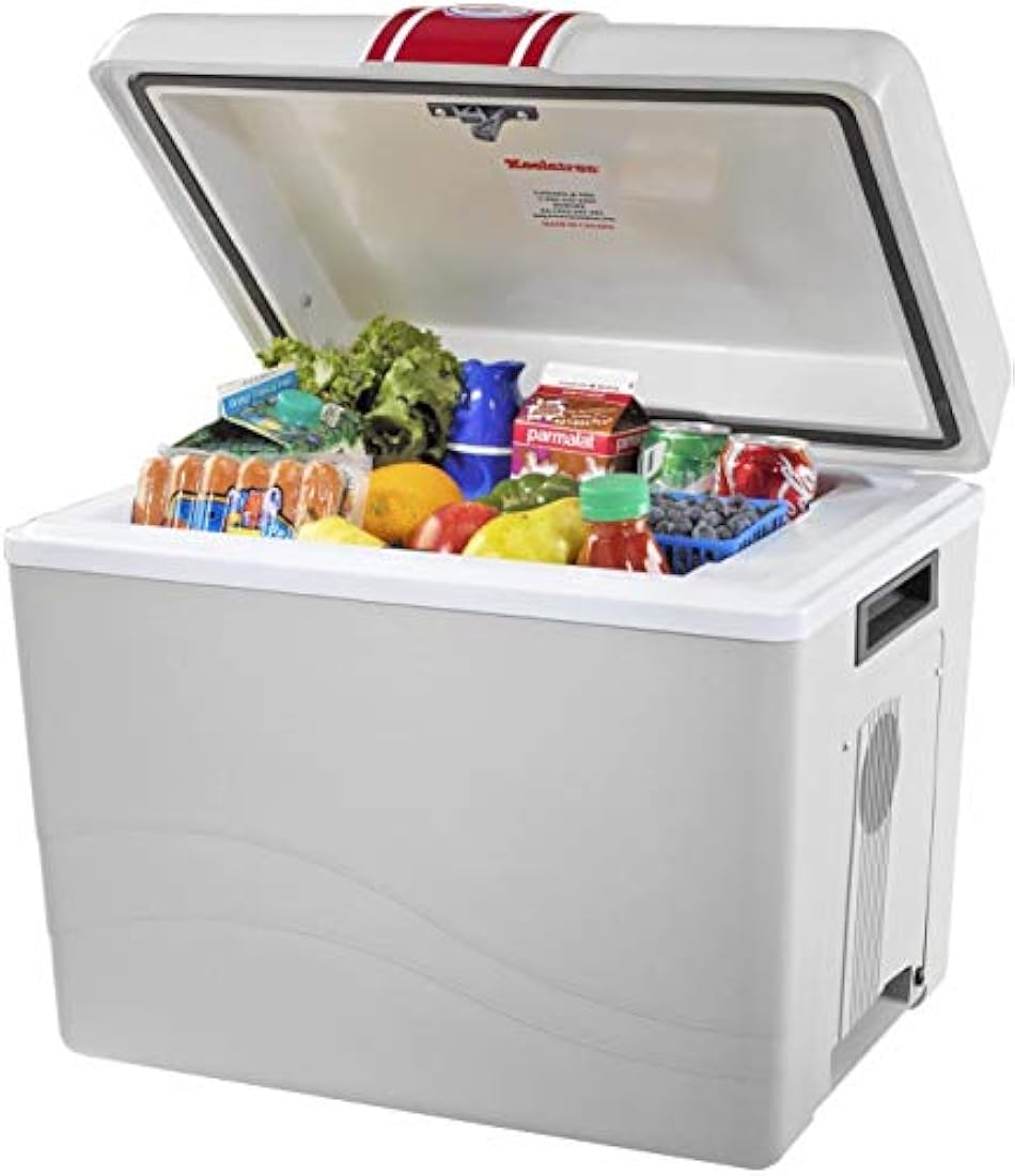 Nevera portátil y Refrigerador eléctrico