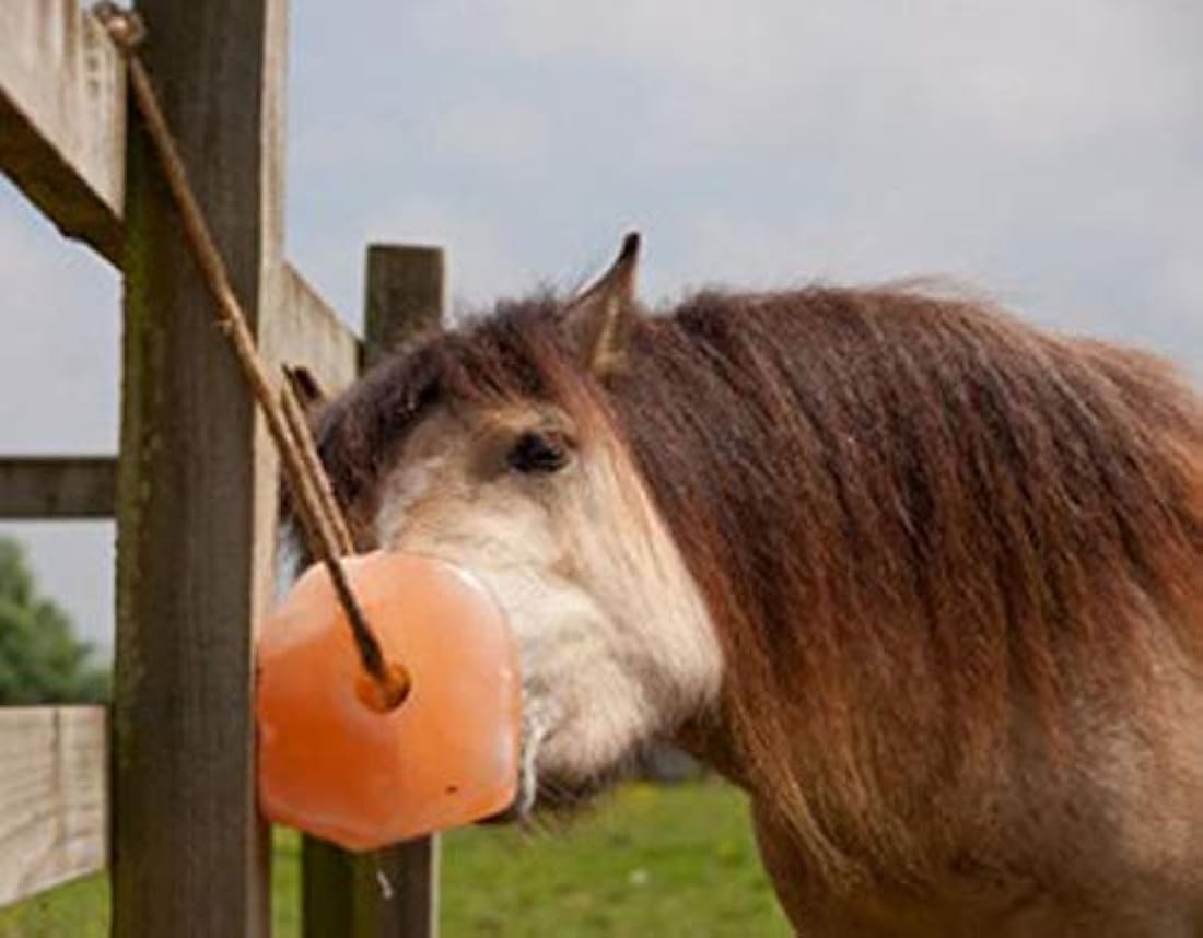 Sal de Himalaya para Animales, Mineral, 6 lbs, Lick Pink Sal