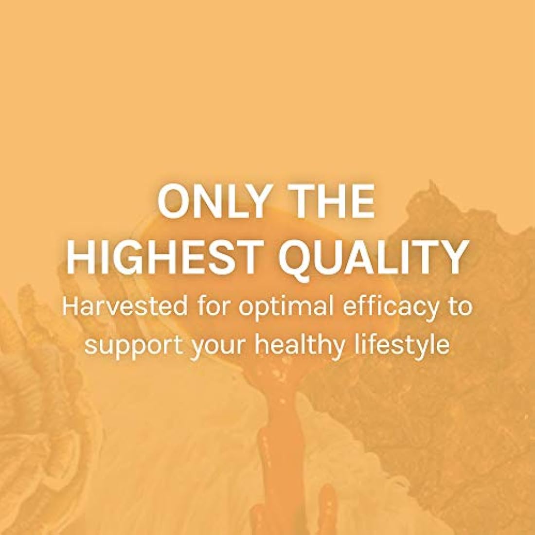 Cápsulas, apoyo para la reducción de radicales