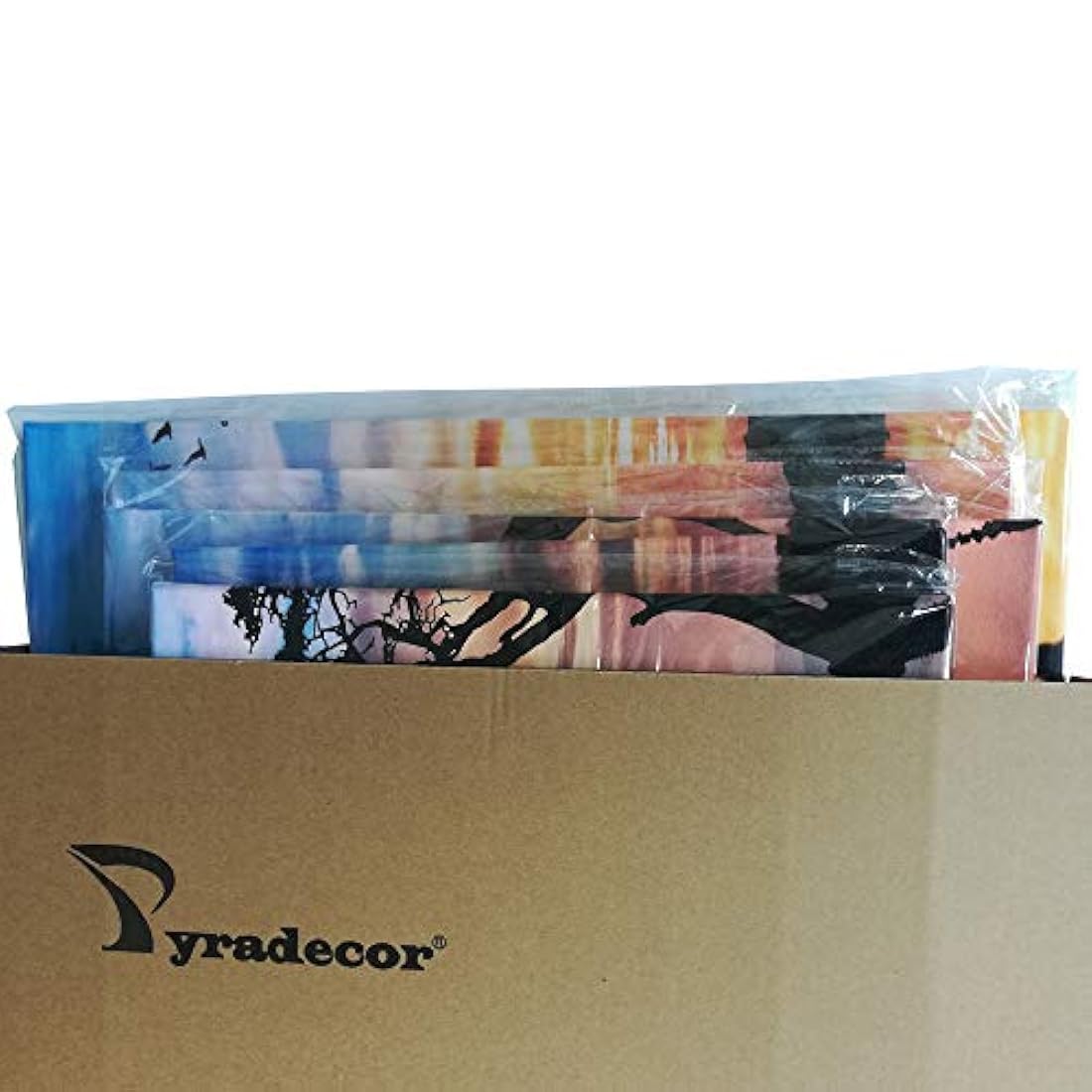 Pyradecor 5 piezas pinturas sobre lona arte de la pared