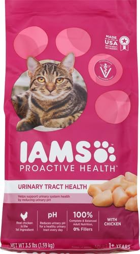 Alimentos seco saludable para gatos con croquetas de pollo