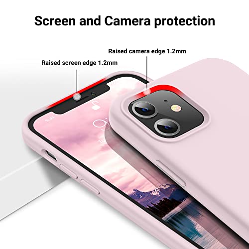 Funda compatible con iPhone 12 (rosa hielo)