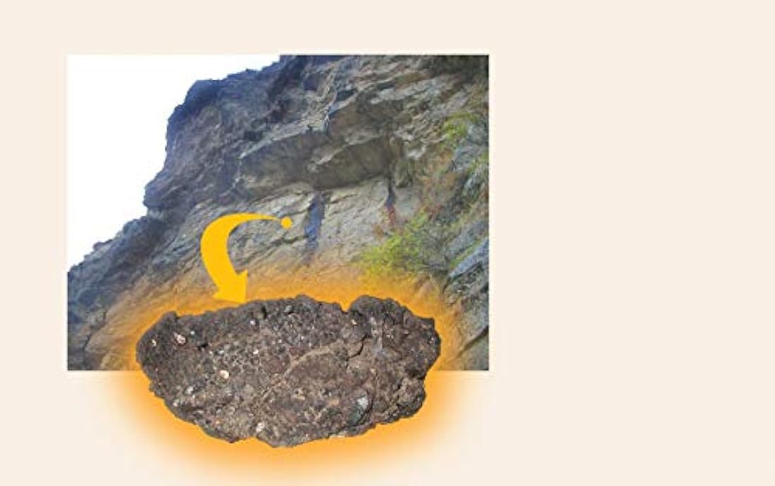 Suplemento Hierbas shilajit 60 Cápsulas