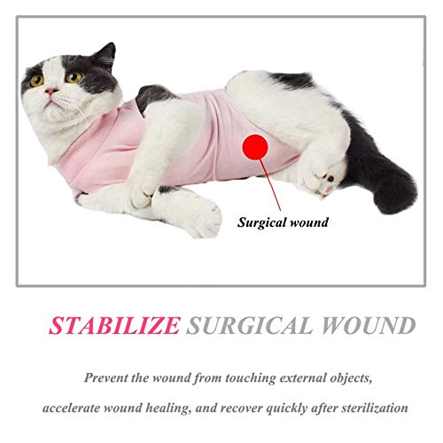 Traje de recuperación de gatos para heridas abdominales o enfermedades de la piel, alternativa transpirable de cuello electrónico para gatos y perros, después de la cirugía, uso antilame heridas