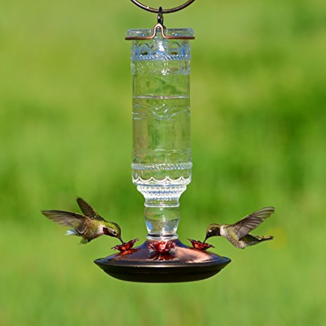Alimentador antiguo de colibrí de vidrio de 10 onzas