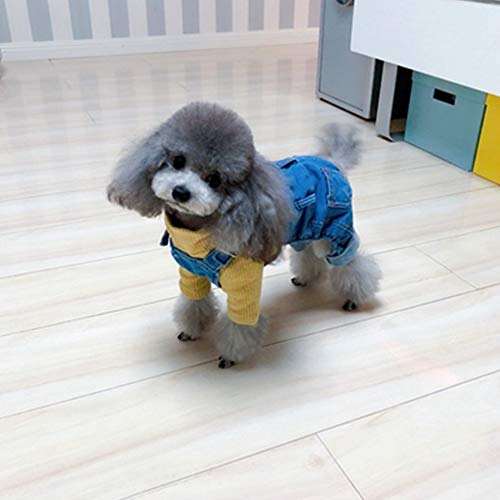 Mono de mezclilla para perro disfraz de gato y mascota