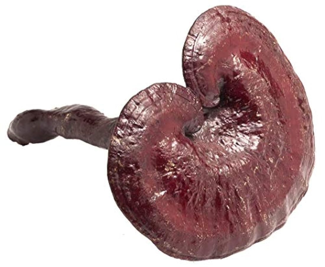 Cápsulas vegetarianas 450 mg 100 Cápsulas