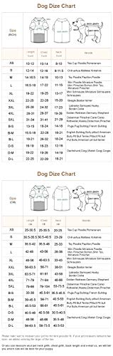 Lovelonglong - Chaqueta impermeable para perros, ligera, impermeable, reflectante, resistente al viento, a prueba de nieve, para perros pequeños, medianos y grandes.