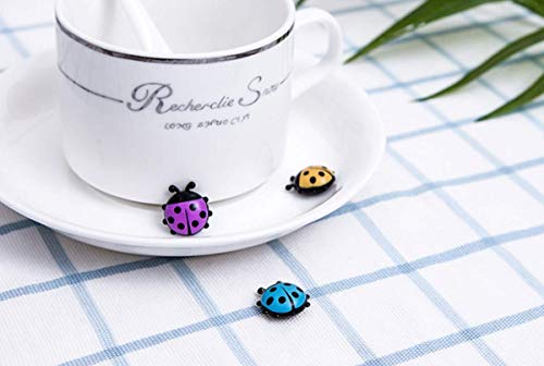 TabEnter Imanes decorativos para refrigerador perfectos