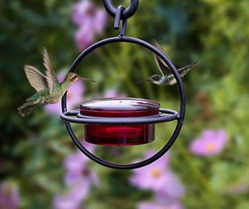 Comedero circular para colibrí, de cristal rojo