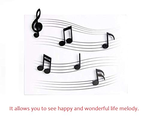 TabEnter Imanes decorativos para refrigerador, perfectos