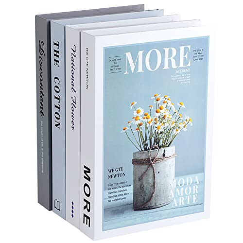 Outgeek Juego de 4 libros decorativos: decoración moderna