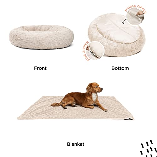 Cama original para perros tamaños XL