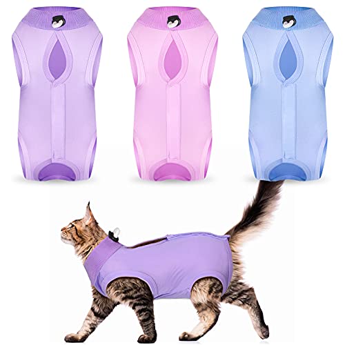 Traje de recuperación de gato de 3 piezas, traje de recuperación de gatito, collar electrónico alternativo para gatos y perros, traje de pijama anti lamer piel abdominal
