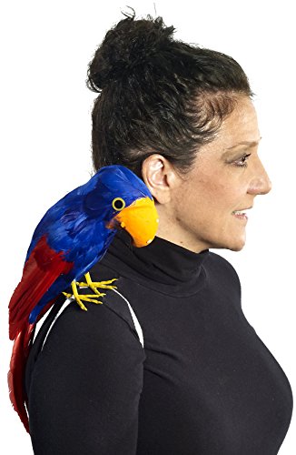 Novedades del foro Pirate Parrot Prop