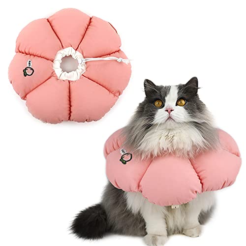 HiDREAM - Collar de cono de gato, bonito collar isabelino impermeable para gatos, antimordeduras, curación de heridas, seguridad para recuperación, estilo para todas las estaciones