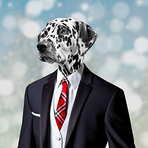 Segarty Corbatas de cuello para perro, 30 corbatas para perro, corbatas ajustables para perros medianos y grandes, corbatas para mascotas, accesorios de aseo para niñas, niños, perros, día festivo, cumpleaños, disfraces de boda