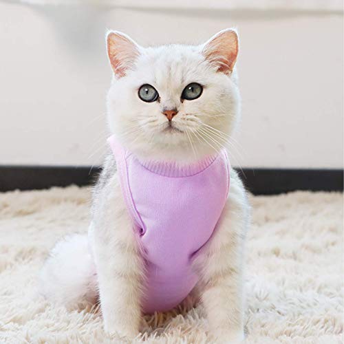 TRAJE profesional de recuperación de gatos para heridas abdominales o enfermedades de la piel, después de la cirugía, uso antilesiones, alternativa transpirable de cuello E para gatos