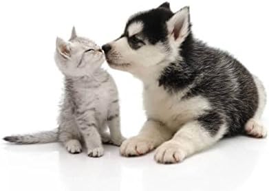 3 botellas de capsulas PETS HEALTH SOLUTION para gatos