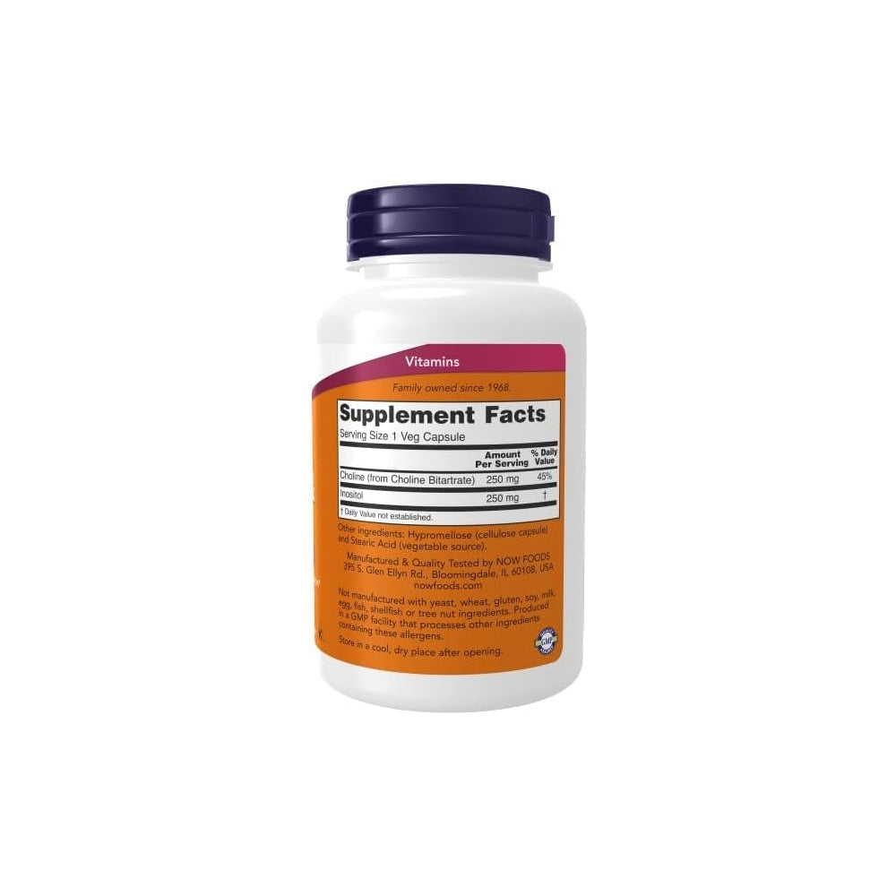 Suplemento Colina e inositol 500 mg - 100 cápsulas