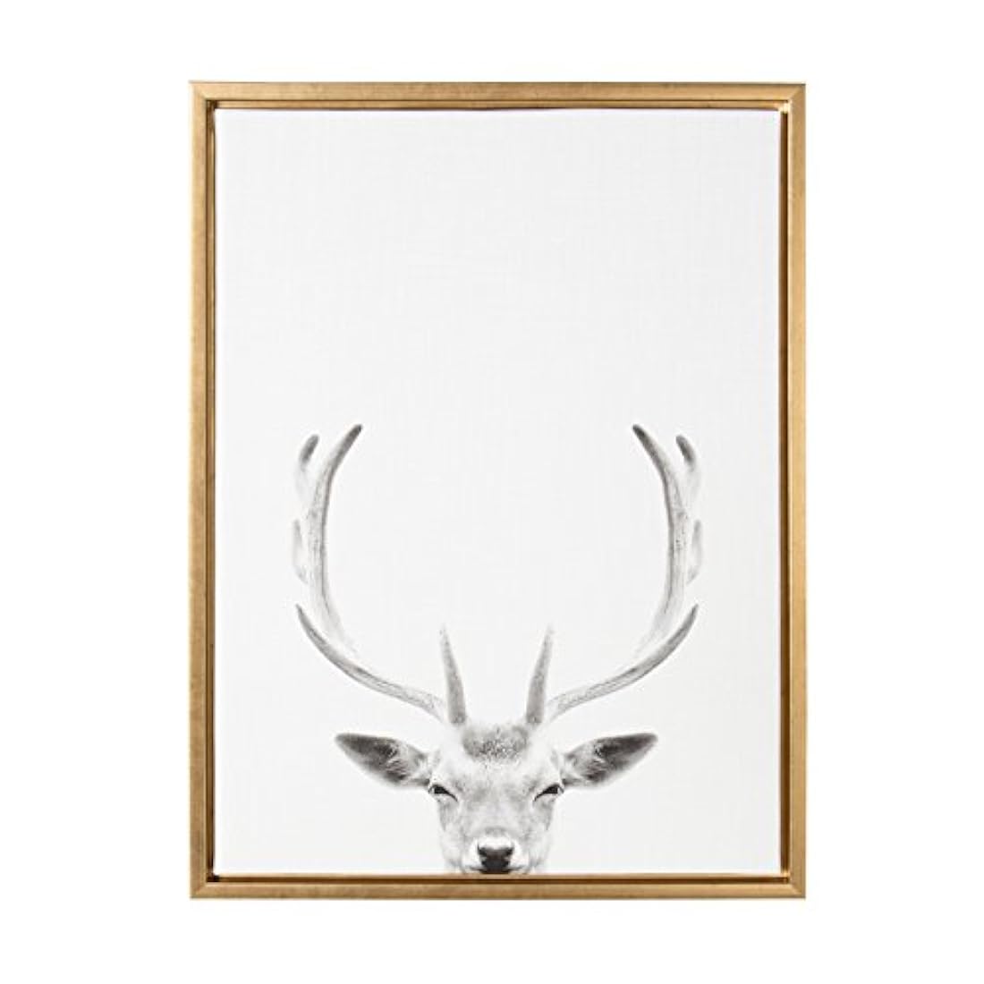 Lienzo enmarcado, diseño de ciervo