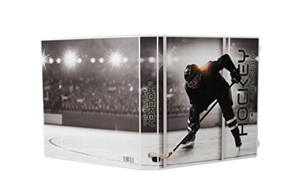 Carpeta de 10 hojas de cartón de la serie Platinum