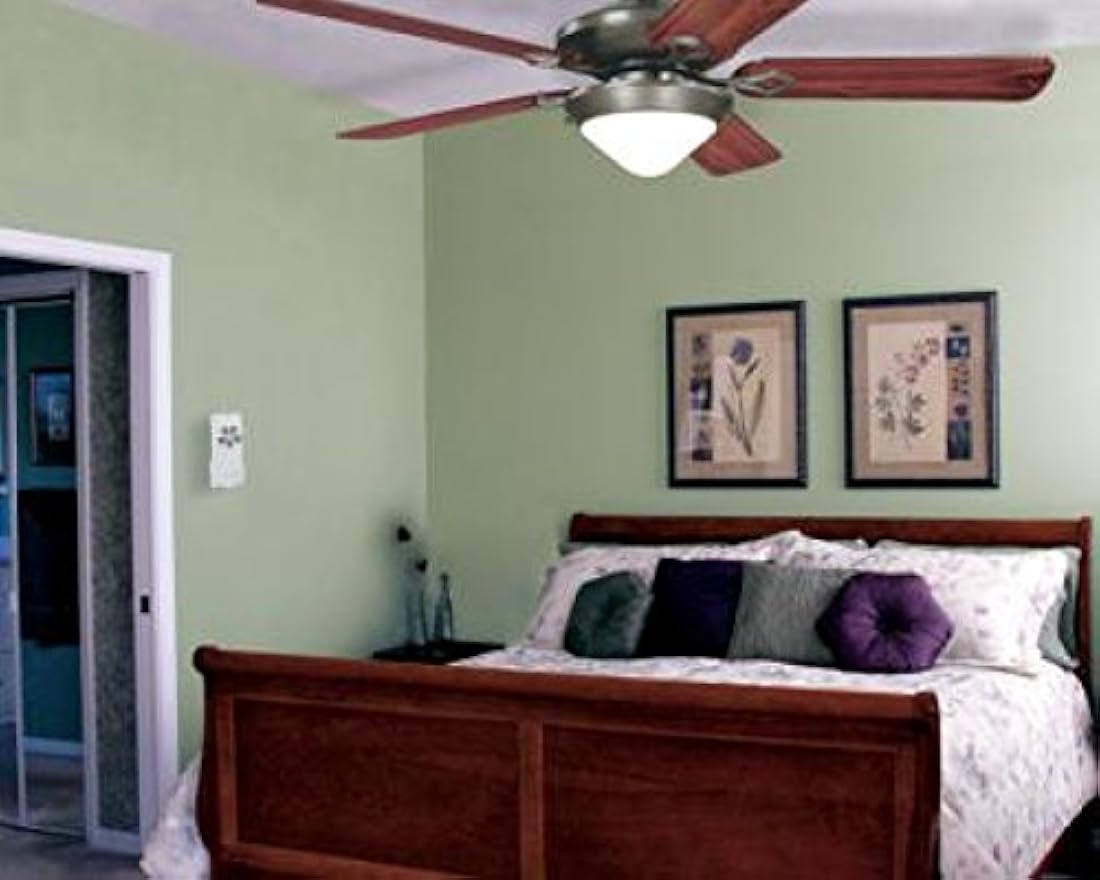 Ventilador de techo y luz con control remoto.,