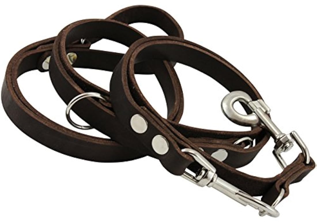 café 6 vías multifuncional Europea piel Correa del perro