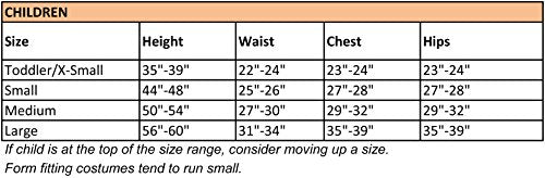 Rubie's DC Comics Deluxe Cofre muscular The Flash Disfraz i