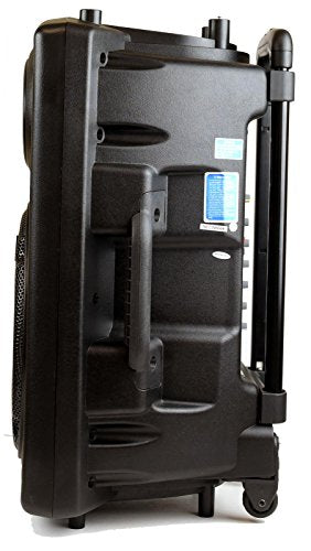 Sistema portátil recargable con micrófonos inalámbricos