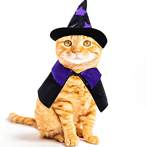 Dxhycc Disfraz de Halloween para mascotas, disfraz de mago de gato, disfraz divertido de mago y sombrero de mago para perros pequeños, trajes de gatos