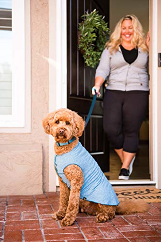 Sun Shield Camiseta para perro con protección UV, alivia la ansiedad de las mascotas, protege heridas, previene las colas de zorro, alopecia, lavable a máquina, para uso durante todas las estaciones, 18, Azul Océano