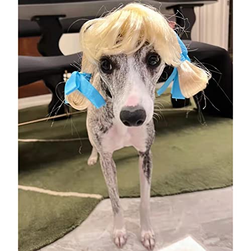 Divertido disfraz de perro, disfraz de mascota