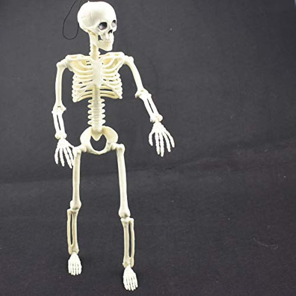 Esqueleto de Halloween de 16 pulgadas con articulaciones
