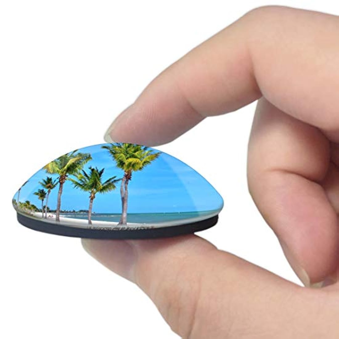 Imán para nevera con diseño de West Palm Beach en 3D