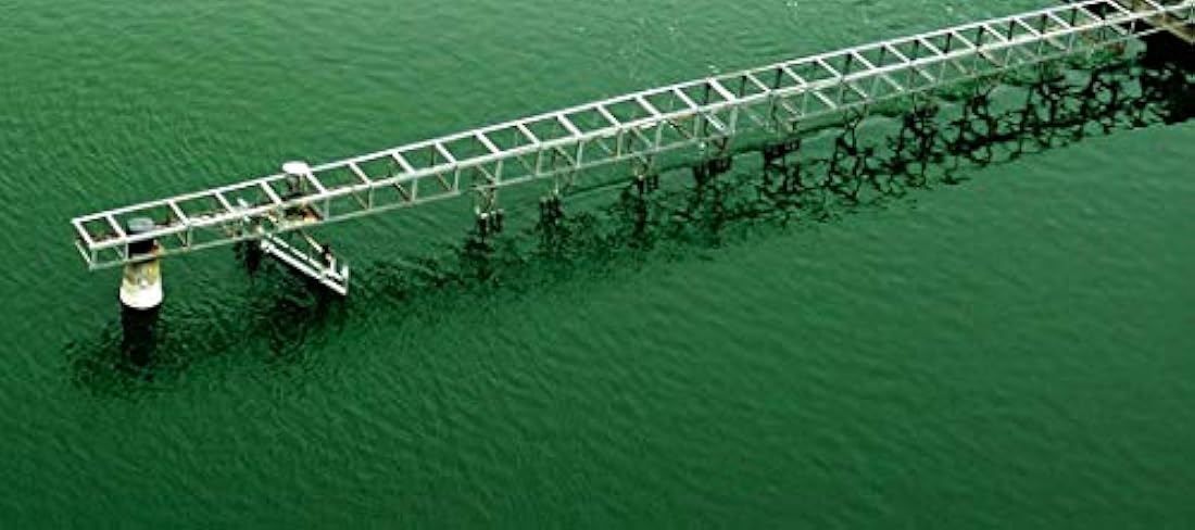 Spirulina orgánica en polvo Good Natured Chlorella 50/50