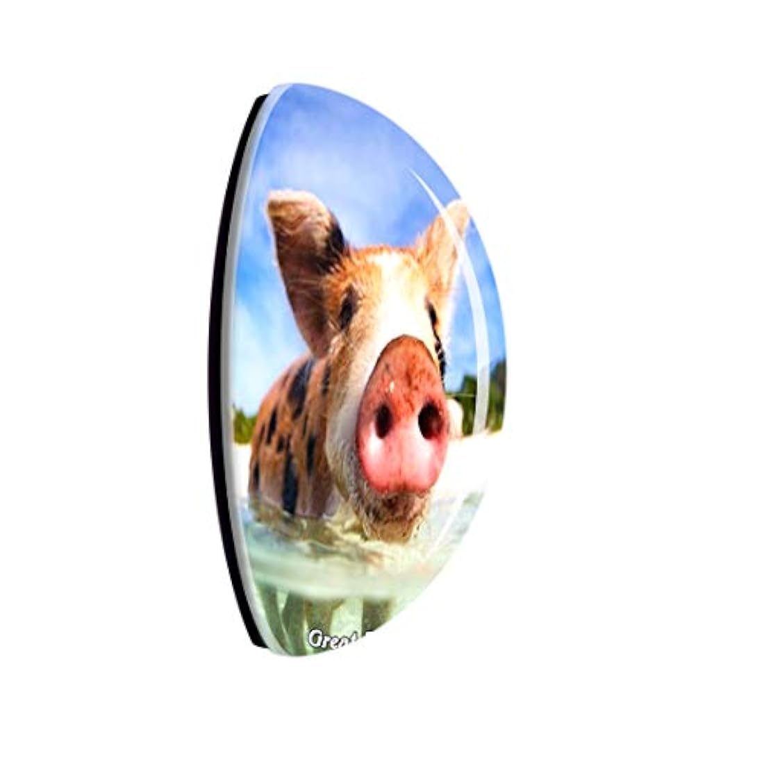 Imán con diseño de la isla Bahamas del Caribe de Great Exuma