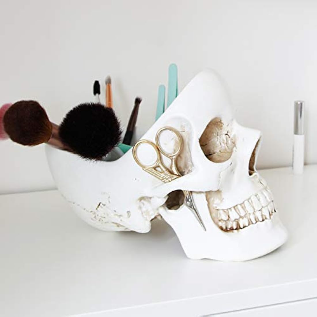 Joyería con diseño de calavera de pájaros de Suck UK