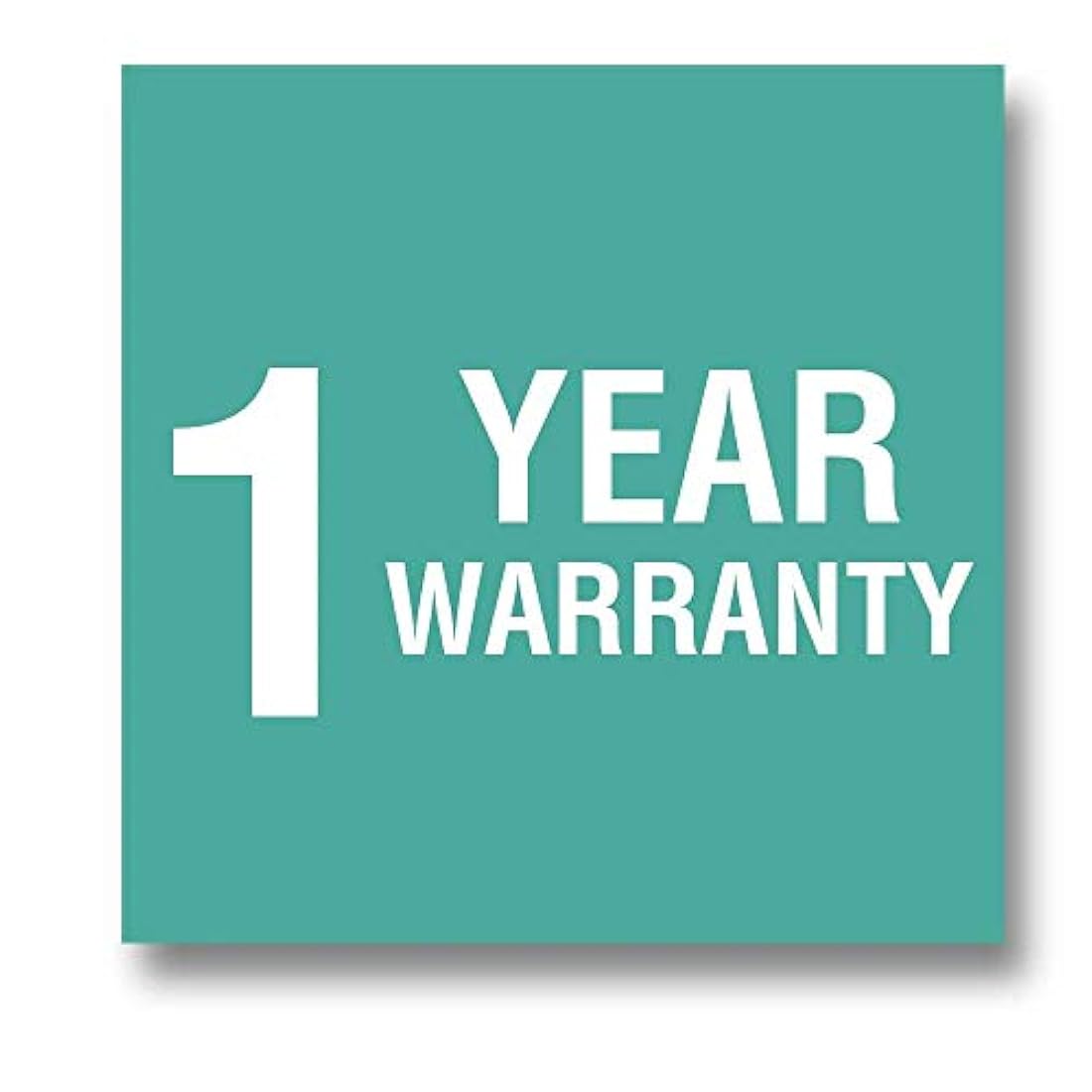 Kiwi 4 Sharp Pairing Cuchillo, con mango de madera # 503