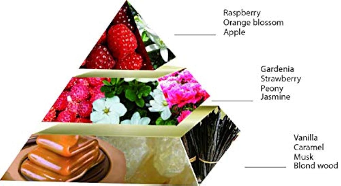 Fragancia floral afrutado Gourmand 3.2 oz. Pascal Morabito