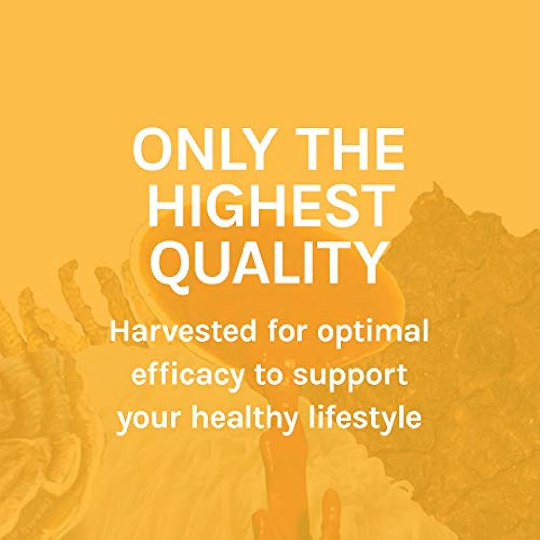 Cápsulas Host Defense