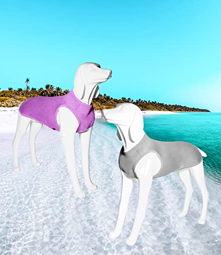 CAMISAS de verano para perro, ropa transpirable de secado rápido para mascotas, chaleco sin mangas, ligero y elástico para perros pequeños, medianos y grandes