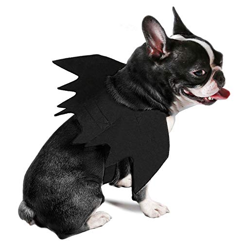 Disfraz Rypet de murciélago, disfraz de Halloween para mascotas, alas de murciélago para perro