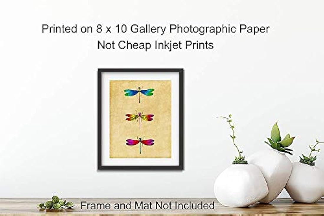 Decoraciones de habitaciones únicas