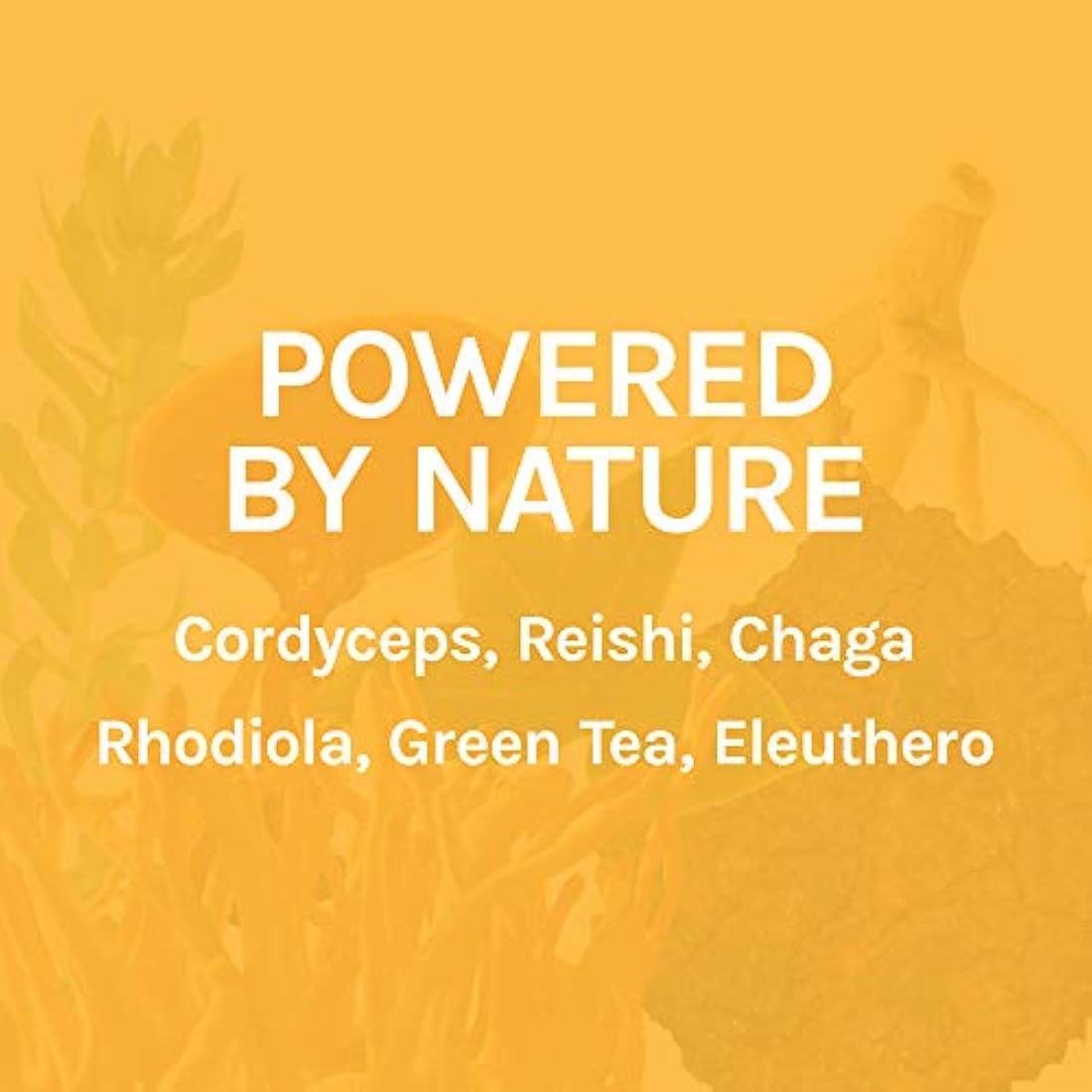 Cápsulas Host Defense