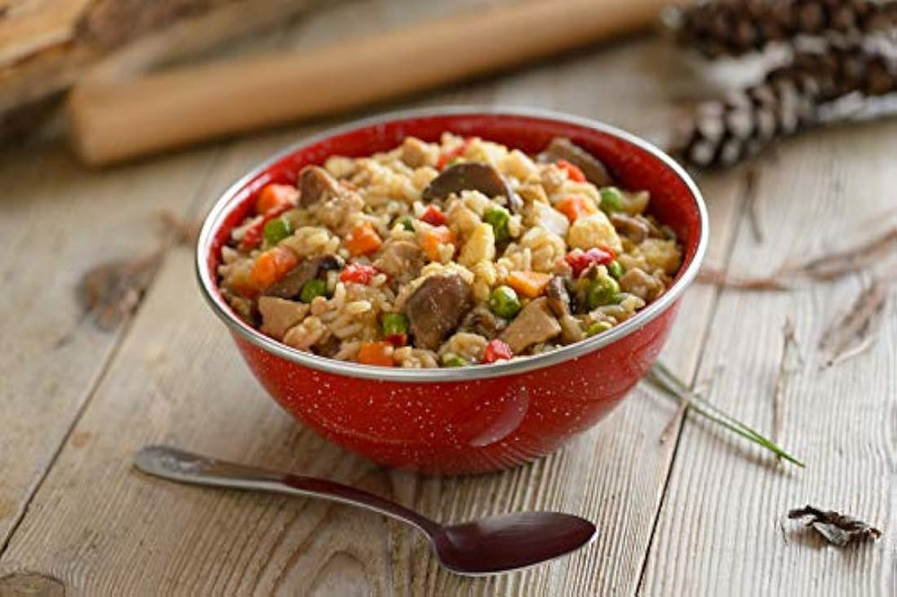 Mountain House Pollo Frito Arroz Mochila liofilizada