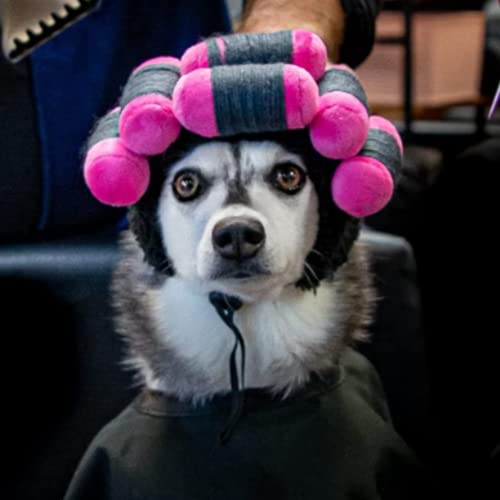 Dog Wig Curly Hair Dog Hat Pet Dog Costume Adjustable Dog Wigs for Small Dogs Cat Wig Funny Pet Hat Dog Head Wear Apparel Toy for Halloween, Parties and Photo Shoots