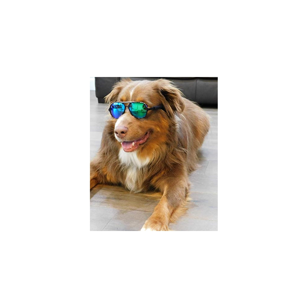 Disfraces de perri de Gafas de sol de aviador